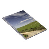 Carnet Chemin d'exploitation tortillant entre les champs (Côté Droit)