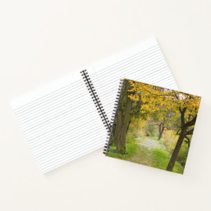 Carnet Chemin en automne