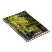 Carnet Chemin vers le Kaysinger General Store (Côté Droit)