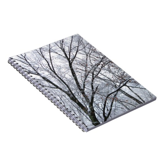 Carnet Chêne couvert de neige (Côté Droit)