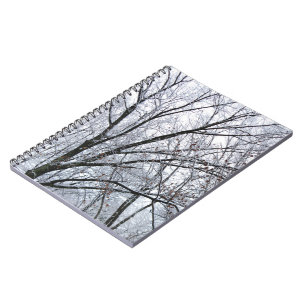 Carnet Chêne couvert de neige