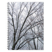 Carnet Chêne couvert de neige (Devant)