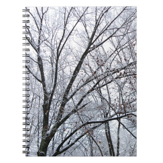 Carnet Chêne couvert de neige (Devant)