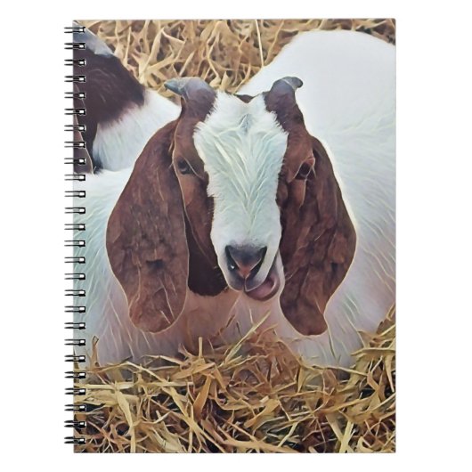 CARNET CHÈQUE CUTE (Devant)