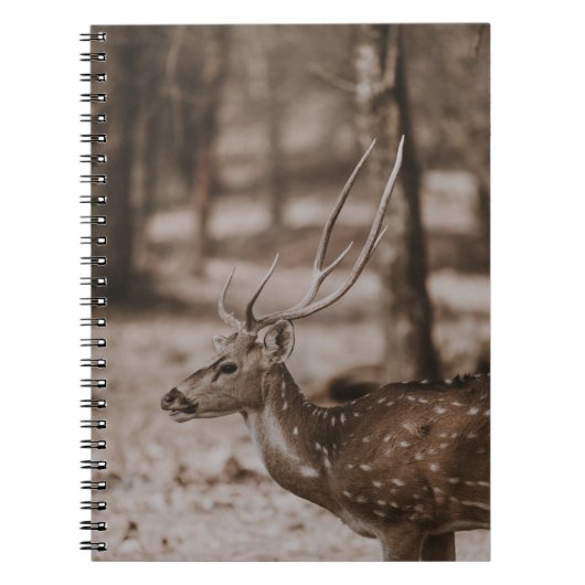CARNET CHER AVEC DES ANTLERS (Devant)