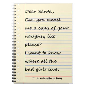 Carnet CHÈRE LETTRE de PÈRE NOËL d'un garçon vilain