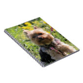 Carnet Chérie simple (Côté Droit)