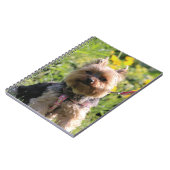 Carnet Chérie simple (Côté gauche)