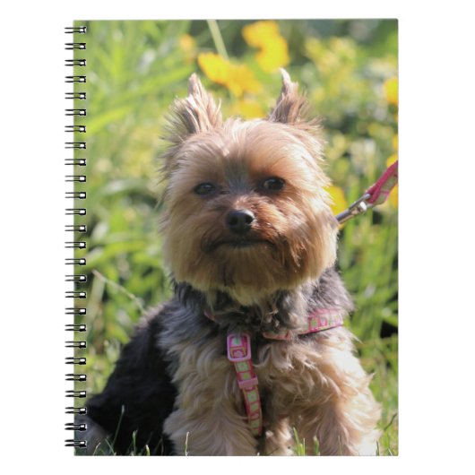 Carnet Chérie simple (Devant)