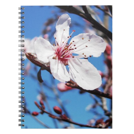 Carnet Cherry Blossom 2 (Devant)