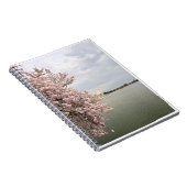 Carnet Cherry Blossoms at the Tidal Basin (Côté Droit)