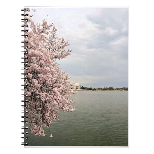 Carnet Cherry Blossoms at the Tidal Basin (Devant)