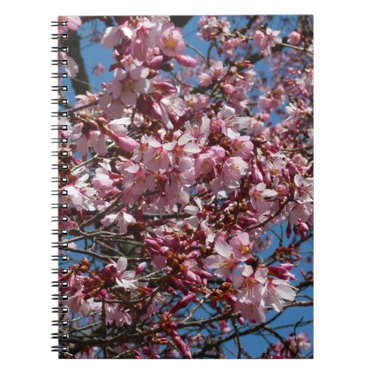 Carnet Cherry Blossoms et Blue Sky Spring Floral (Devant)