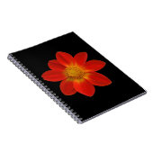 Carnet Cherub alpin (Dahlia) (Côté Droit)