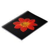 Carnet Cherub alpin (Dahlia) (Côté gauche)
