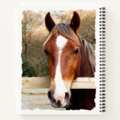 CARNET CHESNUT HORSE (Dos)