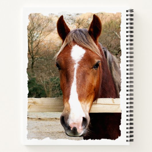 CARNET CHESNUT HORSE (Dos)