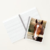 CARNET CHESNUT HORSE (Intérieur)