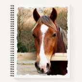 CARNET CHESNUT HORSE (Devant)
