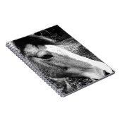 Carnet Cheval (Côté Droit)