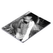 Carnet Cheval (Côté gauche)