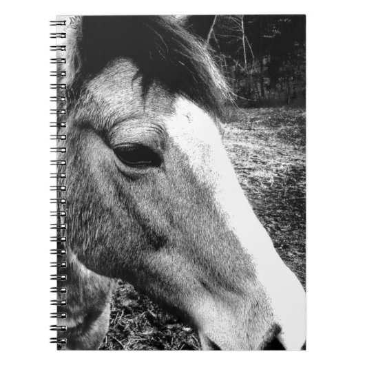 Carnet Cheval (Devant)