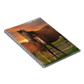 Carnet Cheval (Côté Droit)