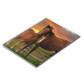 Carnet Cheval (Côté gauche)