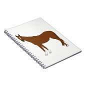 Carnet Cheval (Côté Droit)