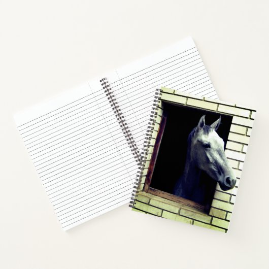Carnet Cheval (Intérieur)