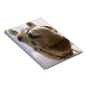Carnet Cheval (Côté Droit)