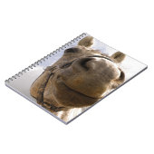 Carnet Cheval (Côté gauche)