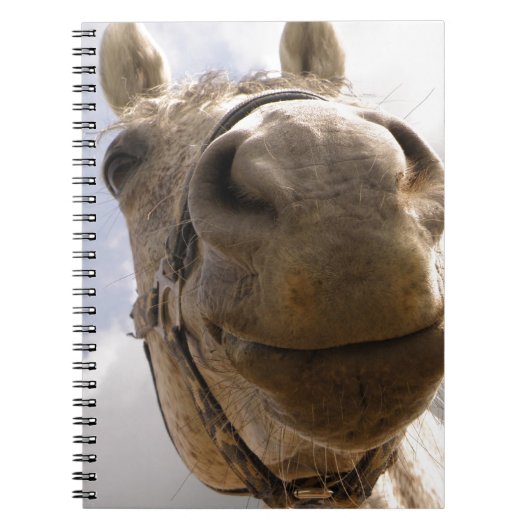 Carnet Cheval (Devant)