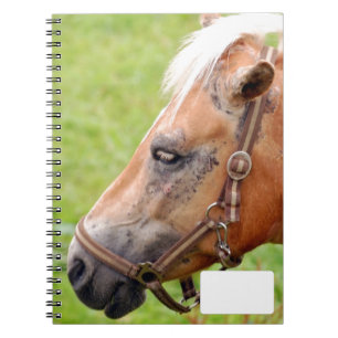 Carnet Cheval 003
