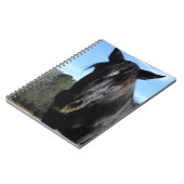 Carnet Cheval à bascule noir secouru (Côté gauche)