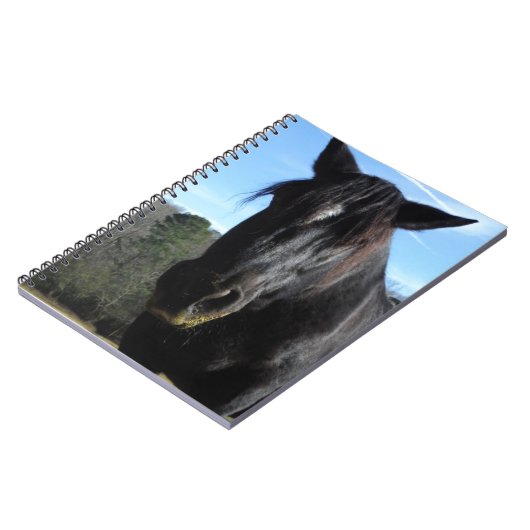 Carnet Cheval à bascule noir secouru (Côté gauche)