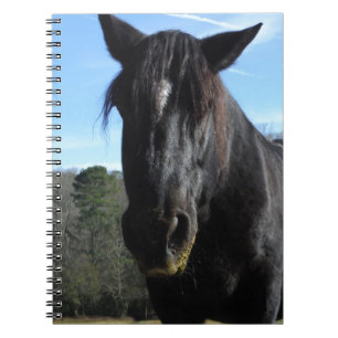 Carnet Cheval à bascule noir secouru