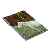 Carnet Cheval à la crème blanche dans un champ d'automne (Côté Droit)