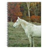 Carnet Cheval à la crème blanche dans un champ d'automne (Devant)