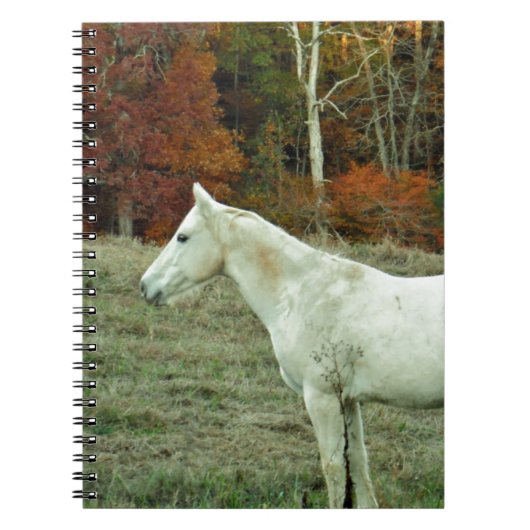 Carnet Cheval à la crème blanche dans un champ d'automne (Devant)