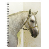 Carnet Cheval andalou grise (Devant)