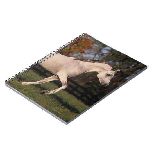 Carnet Cheval arabe : Automne 2 (Côté gauche)