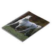 Carnet Cheval arabe courant 1 (Côté gauche)