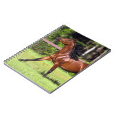 Carnet Cheval arabe courant 2 (Côté gauche)