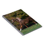 Carnet Cheval arabe fonctionnant dans le domaine herbeux (Côté Droit)