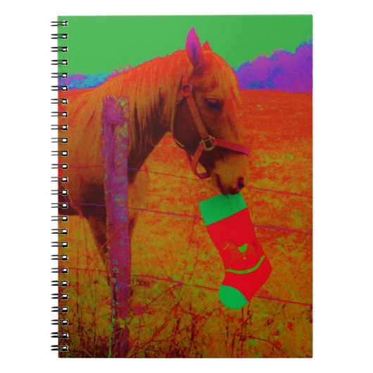 Carnet Cheval arc-en-ciel de Noël (Devant)