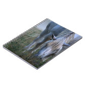 Carnet Cheval blanc (Côté gauche)