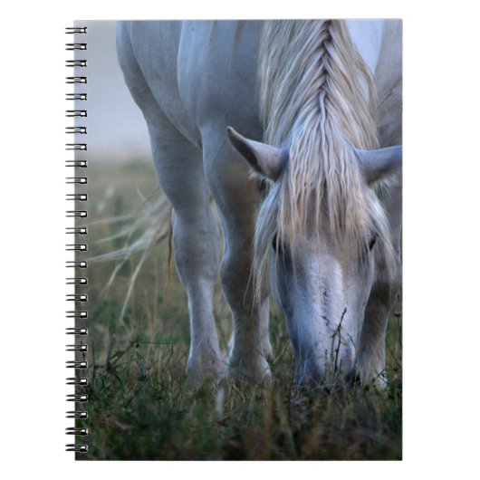 Carnet Cheval blanc (Devant)