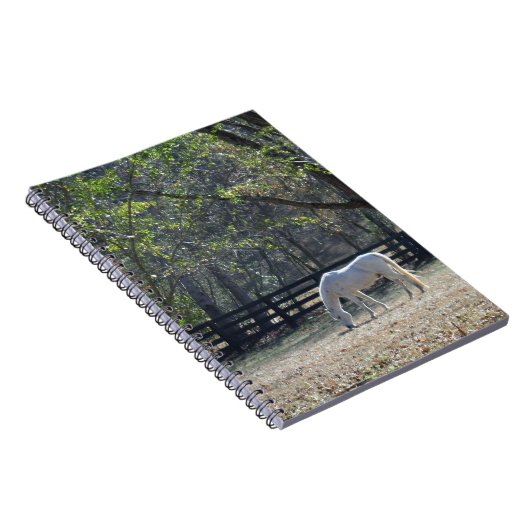 Carnet Cheval blanc dans les arbres (Côté Droit)