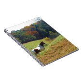 Carnet Cheval blanc et Brown, étang d'automne (Côté Droit)